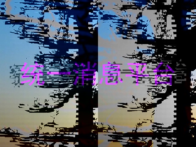 统一消息平台