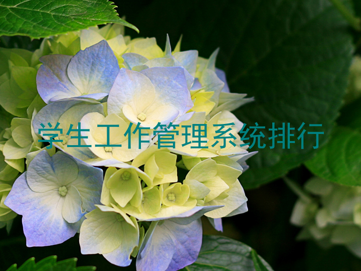 学生工作管理系统排行
