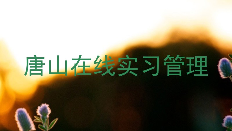 唐山在线实习管理