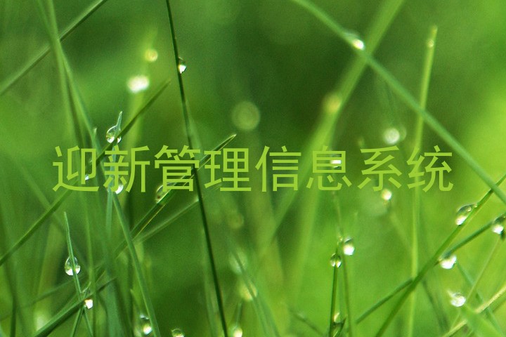 迎新管理信息系统