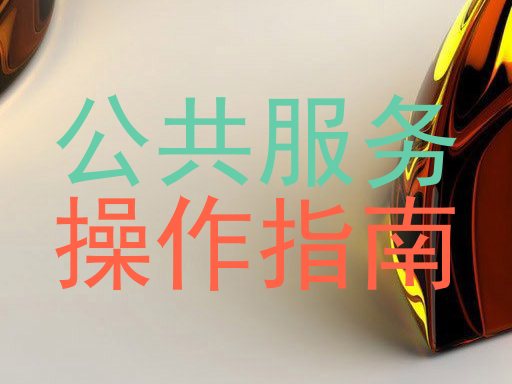 公共服务|操作指南