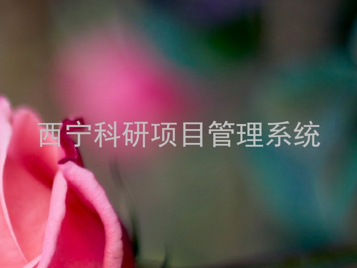 西宁科研项目管理系统