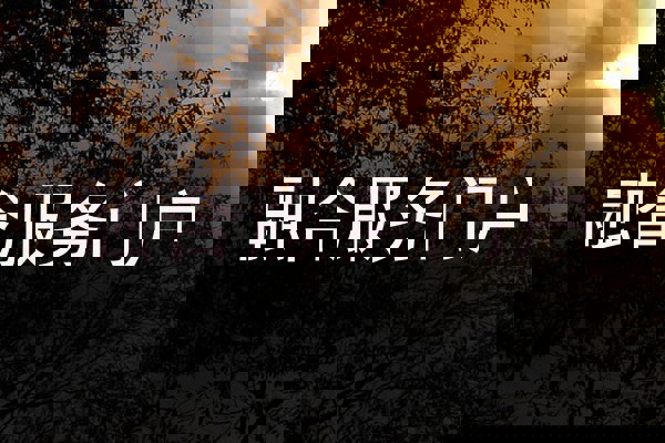 融合服务门户
