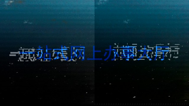一站式网上办事大厅
