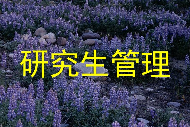 研究生管理