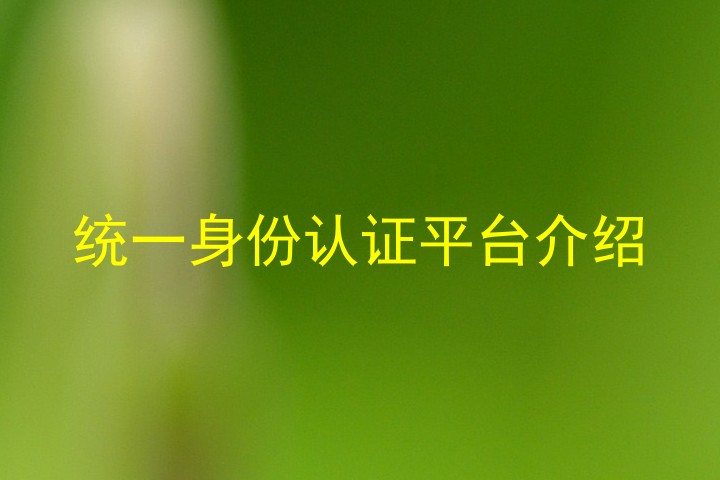 统一身份认证平台介绍