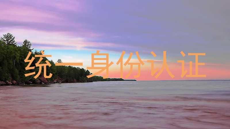 统一身份认证