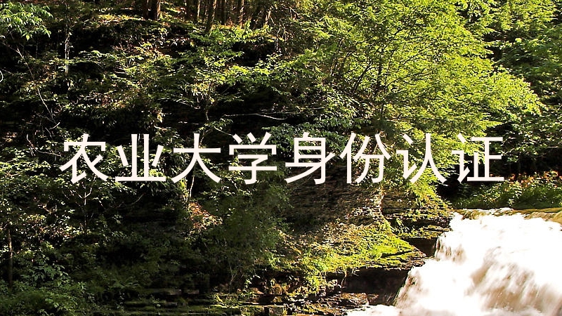农业大学身份认证