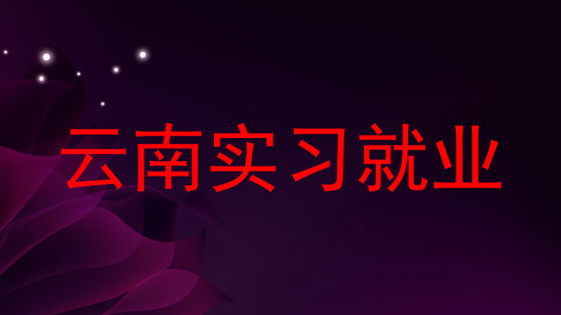 云南实习就业