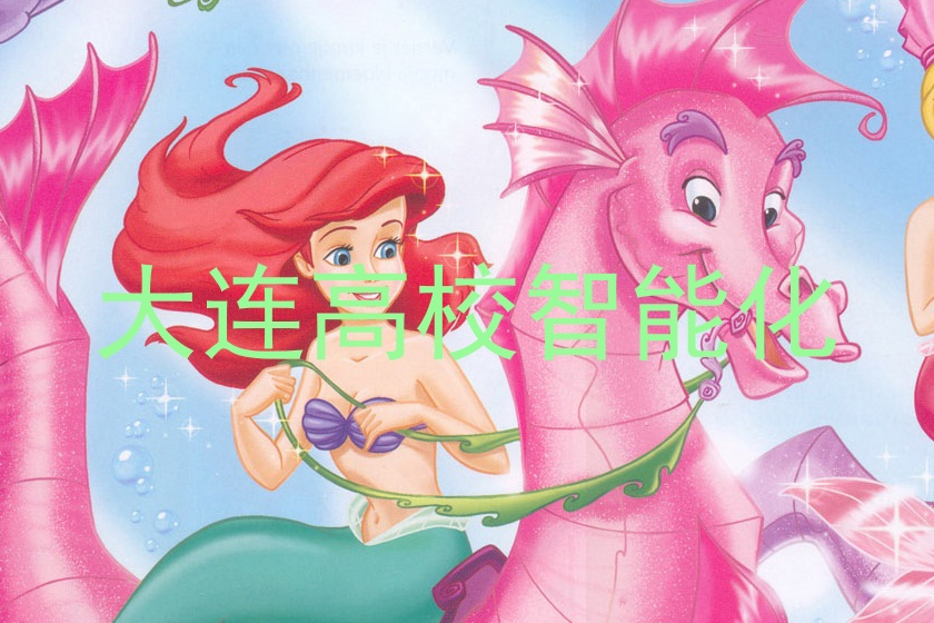大连高校智能化