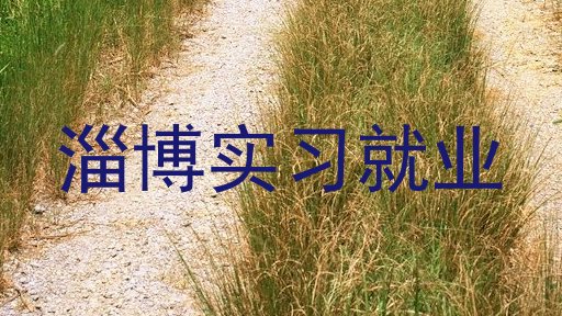 淄博实习就业