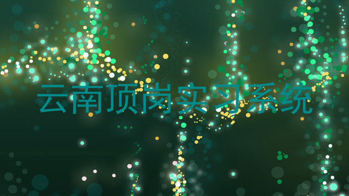 云南顶岗实习系统