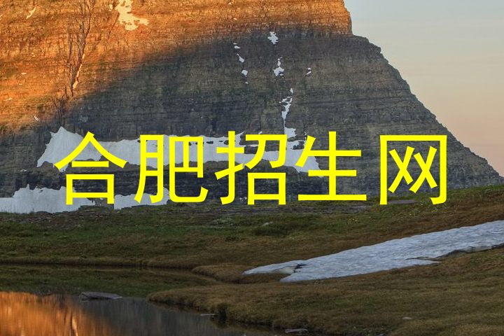 合肥招生网