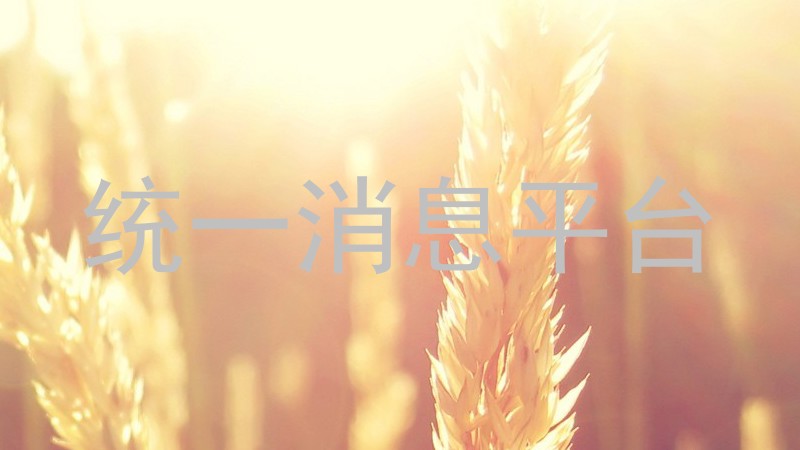 统一消息平台