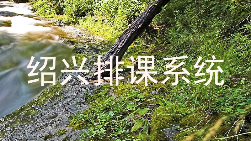 绍兴排课系统
