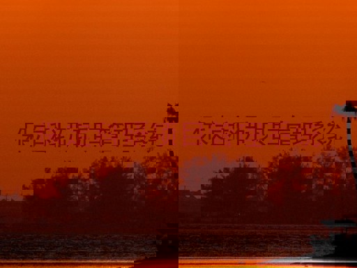 保定科研项目管理系统