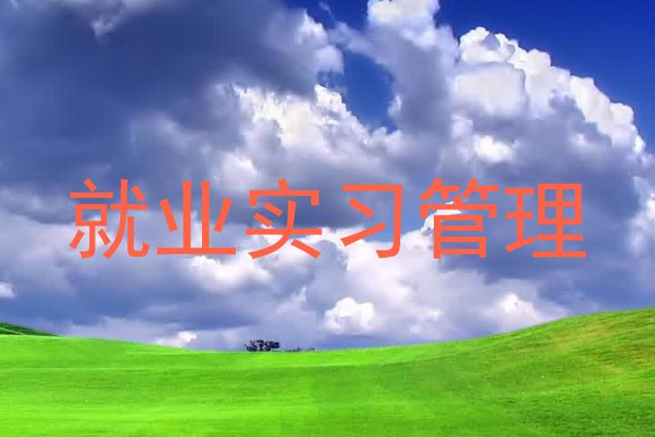 就业实习管理