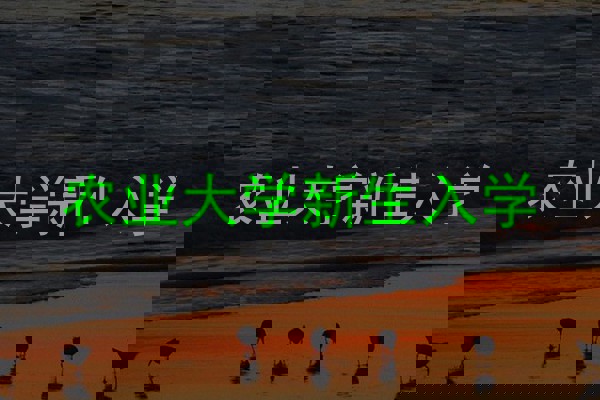 农业大学新生入学