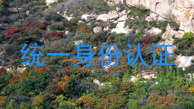 统一身份认证