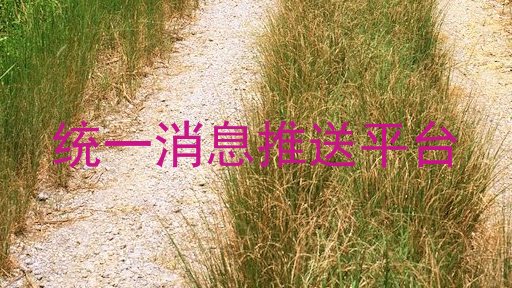 统一消息推送平台