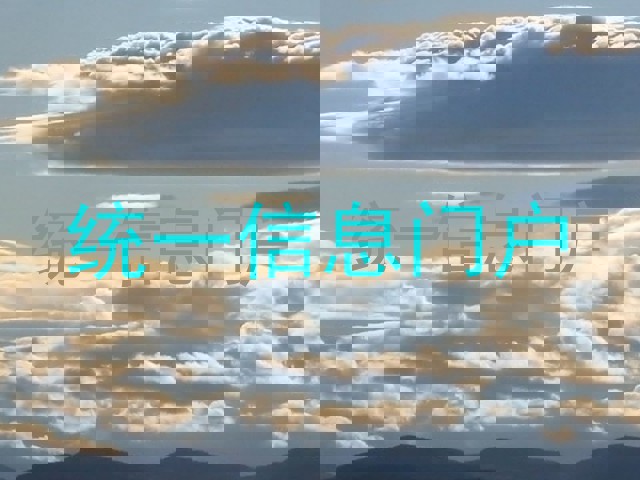 统一信息门户