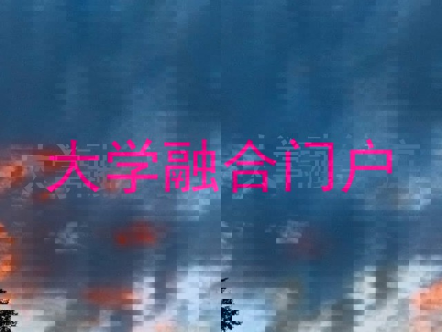 大学融合门户