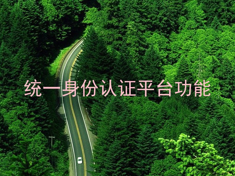 统一身份认证平台功能