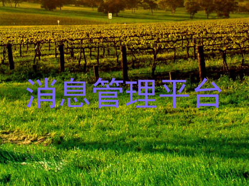 消息管理平台