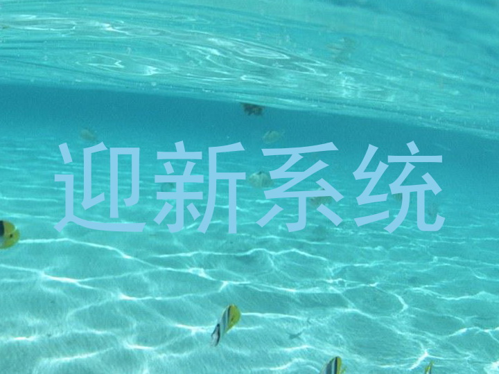 迎新系统