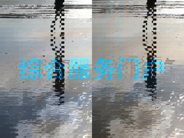 综合服务门户