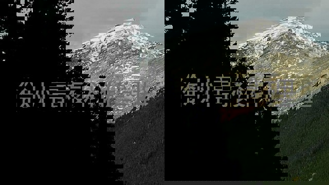 徐州高校科研管理