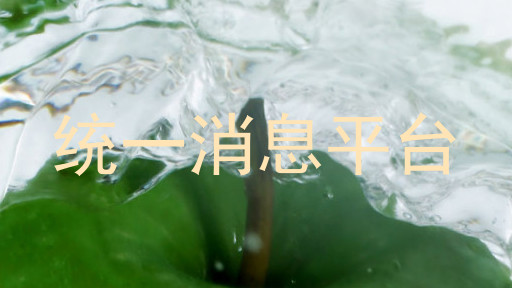 统一消息平台
