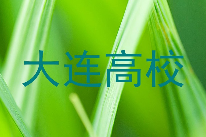 大连高校