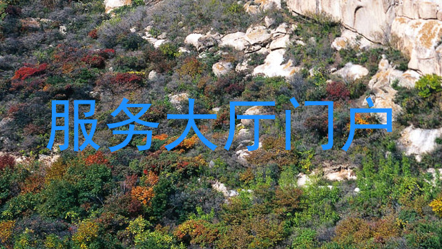 服务大厅门户