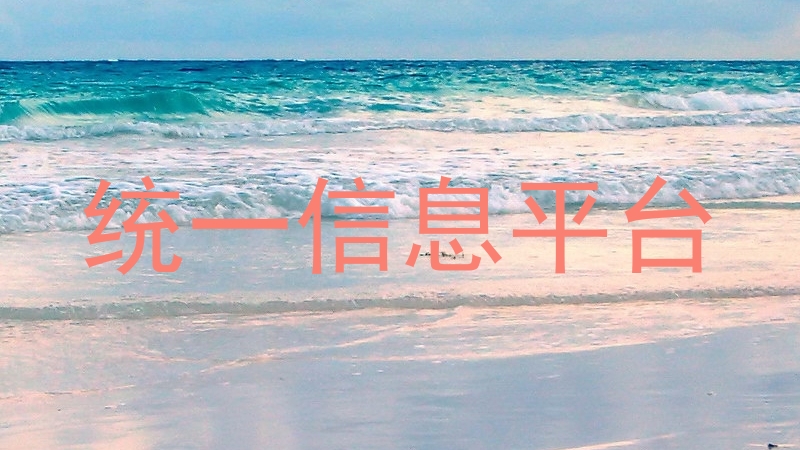 统一信息平台