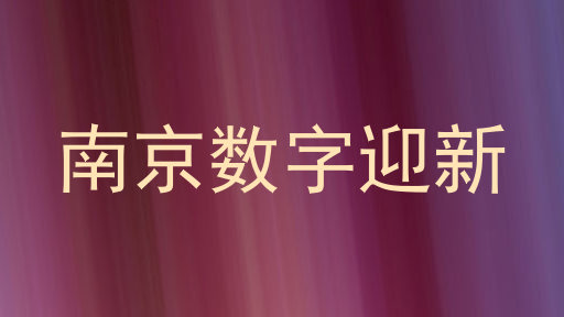 南京数字迎新
