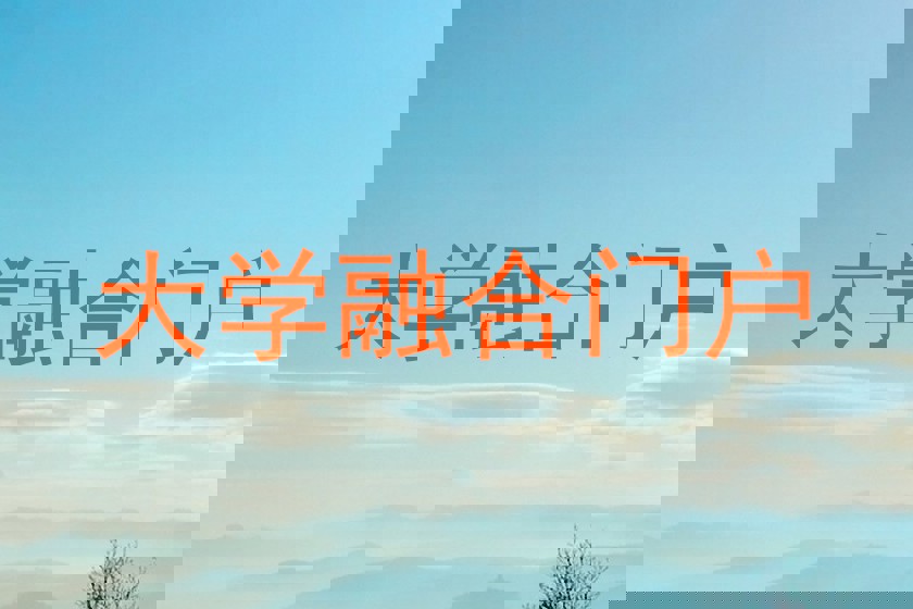 大学融合门户