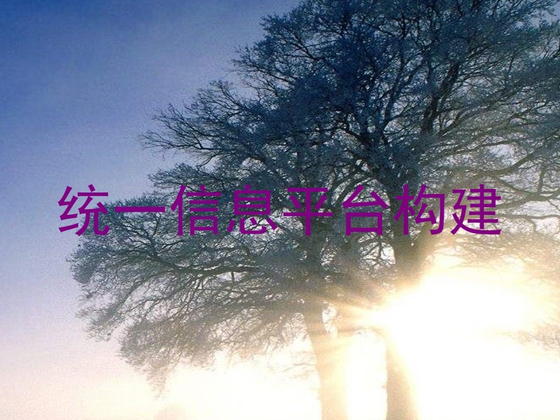 统一信息平台构建