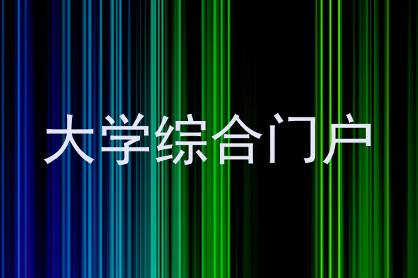大学综合门户