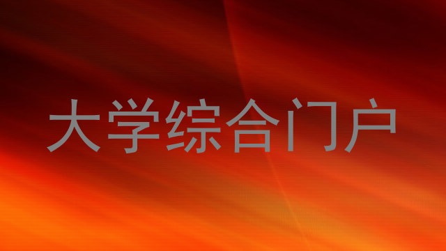 大学综合门户