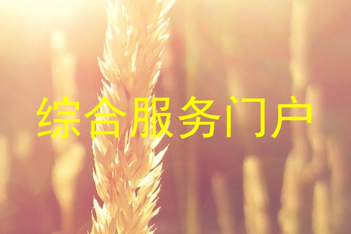 综合服务门户