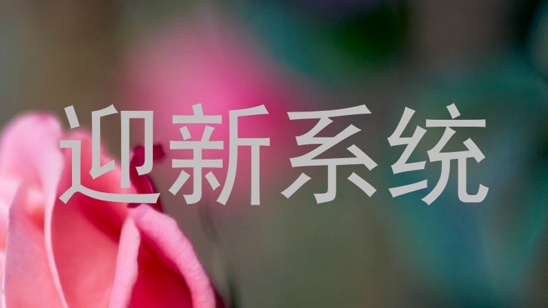 迎新系统