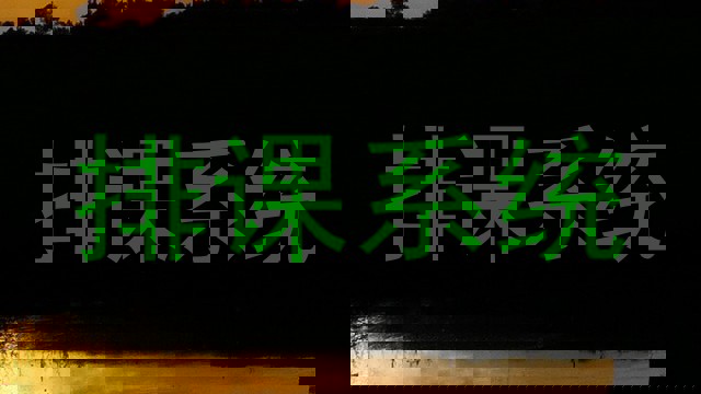 排课系统