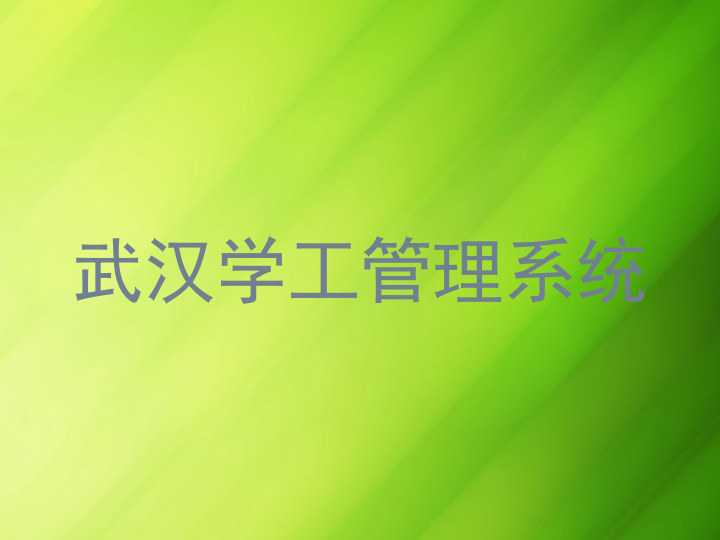 武汉学工管理系统