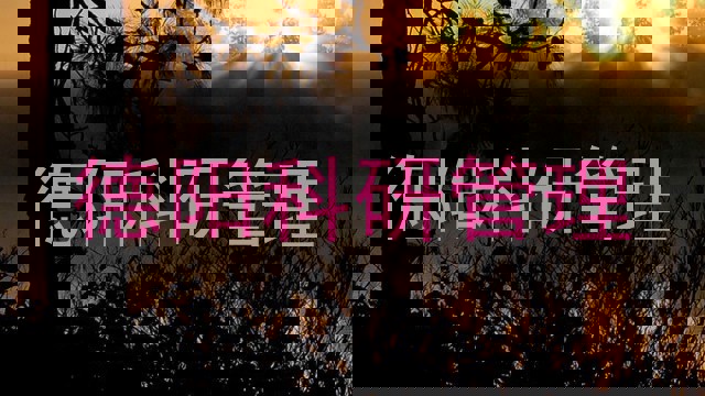 德阳科研管理