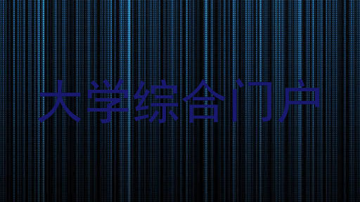 大学综合门户