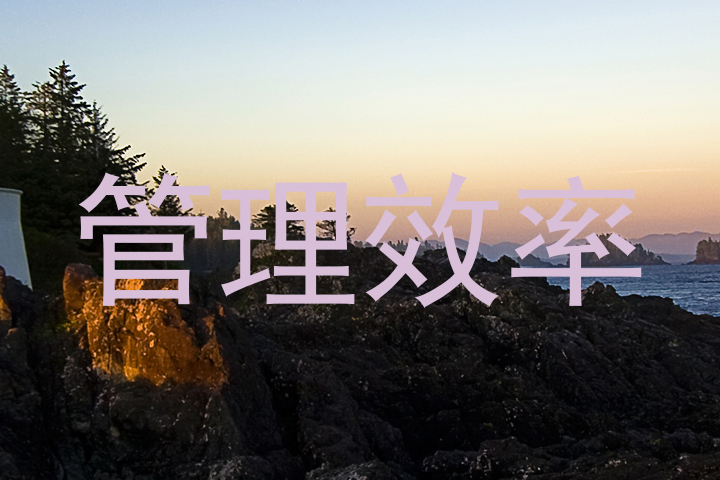 管理效率