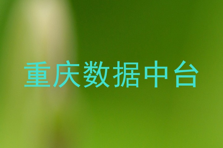 重庆数据中台