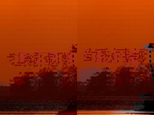 学工系统下载步骤