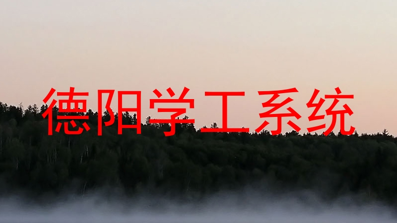 德阳学工系统